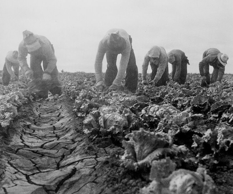 fe5ec0bd-802d-4a9a-b0aa-a6ebce947875